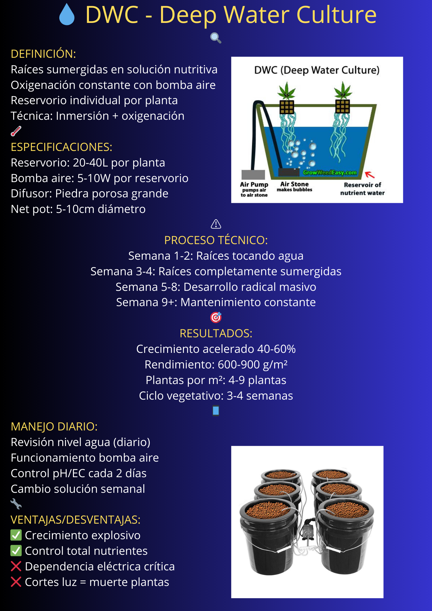 Sistema Hidropónico 1